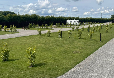 Grass camping area at Stag Park