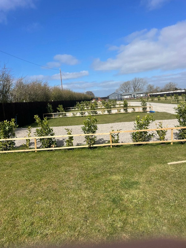 Fenced touring pitches with saplings and open sky